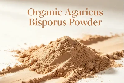 Agaricus Bisporus Extract1 Agaricus Bisporus Extract1